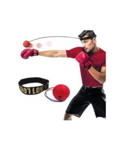 Boxovací míček (Punchball)